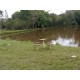 Sitio a venda sp Cassia dos Coqueiros Regiao Ribeirao Preto lazer produtivo