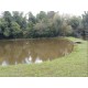 Sitio a venda sp Cassia dos Coqueiros Regiao Ribeirao Preto lazer produtivo
