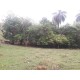 Sitio a venda mg Região Paraiso Sul de Minas São Tomaz de Aquino Produtivo café pecuaria