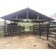 Sitio a venda mg Região Paraiso Sul de Minas São Tomaz de Aquino Produtivo café pecuaria