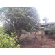 Sitio a venda mg Região Paraiso Sul de Minas São Tomaz de Aquino Produtivo café pecuaria