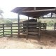 Sitio a venda mg Região Paraiso Sul de Minas São Tomaz de Aquino Produtivo café pecuaria