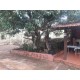 Sitio a venda mg Região Paraiso Sul de Minas São Tomaz de Aquino Produtivo café pecuaria
