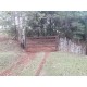 Sitio a venda mg Região Paraiso Sul de Minas São Tomaz de Aquino Produtivo café pecuaria