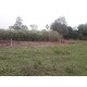 Sitio a venda mg Região Paraiso Sul de Minas São Tomaz de Aquino Produtivo café pecuaria
