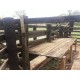 Sitio a venda mg Região Paraiso Sul de Minas São Tomaz de Aquino Produtivo café pecuaria