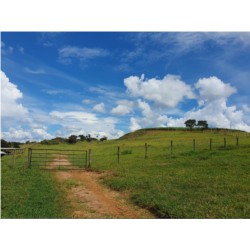 Fazenda a venda sp Regiao Ribeirao Preto Cajuru Cássia dos Coqueiros 118 alqueires