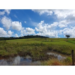 Fazenda a venda sp Regiao Ribeirao Preto Cajuru Cássia dos Coqueiros 118 alqueires
