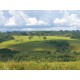 Fazenda a venda sp Regiao Ribeirao Preto Cajuru Cássia dos Coqueiros 118 alqueires
