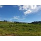 Fazenda a venda sp Regiao Ribeirao Preto Cajuru Cássia dos Coqueiros 118 alqueires