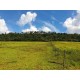 Fazenda a venda sp Regiao Ribeirao Preto Cajuru Cássia dos Coqueiros 118 alqueires