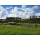 Fazenda a venda sp Regiao Ribeirao Preto Cajuru Cássia dos Coqueiros 118 alqueires
