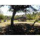 Sitio a venda sp Cajuru Cassia dos Coqueiros 4 hectares com benfeitorias