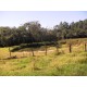 Sitio a venda sp Cajuru Cassia dos Coqueiros 4 hectares com benfeitorias