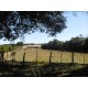 Sitio a venda sp Cajuru Cassia dos Coqueiros 4 hectares com benfeitorias