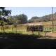 Sitio a venda sp Cajuru Cassia dos Coqueiros 4 hectares com benfeitorias