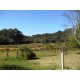 Sitio a venda sp Cajuru Cassia dos Coqueiros 4 hectares com benfeitorias