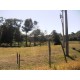 Sitio a venda sp Cajuru Cassia dos Coqueiros 4 hectares com benfeitorias
