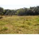 Sitio a venda sp Cajuru Cassia dos Coqueiros 4 hectares com benfeitorias