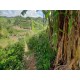 Sitio a venda mg Guaxupe Sul de minas 2 ha aceita permuta Campínas