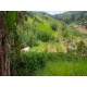 Sitio a venda mg Guaxupe Sul de minas 2 ha aceita permuta Campínas