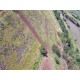 Fazenda a venda sp Araraquara pecuaria lavoura montada 14 alqueires