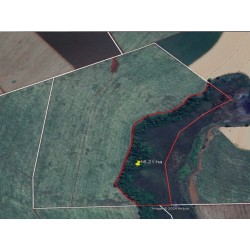 Fazenda a venda sp cana Morro Agudo Regiao Ribeirao Preto 50 alqueires