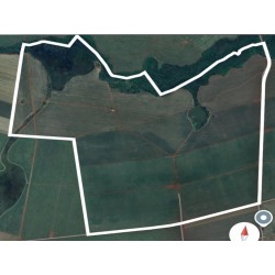 Fazenda a venda sp cana Regiao Ribeirao Preto Morro Agudo 331 alqueires