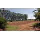 Sitio a venda sp Ribeirão Preto Cássia dos Coqueiros 3 alq montado