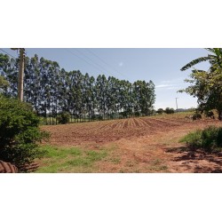 Sitio a venda sp Ribeirão Preto Cássia dos Coqueiros 3 alq montado