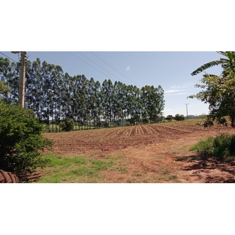Sitio a venda sp Ribeirão Preto Cássia dos Coqueiros 3 alq montado