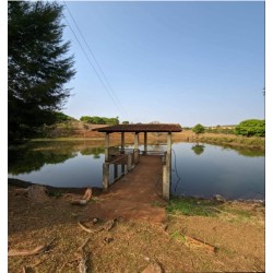 Fazenda a venda sp cana Franca soja cafe cana 107 hectares