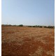 Fazenda a venda sp cana Franca soja cafe cana 107 hectares