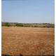 Fazenda a venda sp cana Franca soja cafe cana 107 hectares