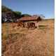 Fazenda a venda sp cana Franca soja cafe cana 107 hectares