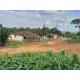 Fazenda a venda mg sul de minas cafe pecuaria Regiao Pinhui São Roque Vargem Bonita Canastra