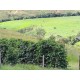 Fazenda a venda mg sul de minas cafe pecuaria Regiao Pinhui São Roque Vargem Bonita Canastra