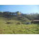 Sitio a venda interior SP Taubate sem benfeitorias