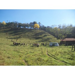 Sitio a venda interior SP Taubate sem benfeitorias