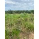 Terreno a venda sp cassia dos coqueiros 1.250m2 55 mil