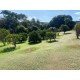 sitio a venda sp Regiao Ribeirao Preto montado com renda