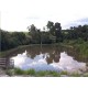 sitio a venda sp Regiao Ribeirao Preto montado com renda