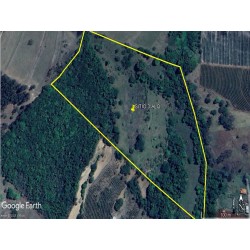Sitio para arrendamento sp Regiao ribeirao Preto Cajuru 3 alqueires