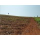 fazenda a venda cana Sp Regiao Araraquara sem benfeitorias
