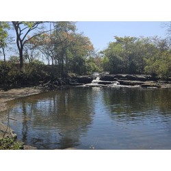 Sitio a venda regiao Ribeirao Preto com cachoeira Rio muita agua