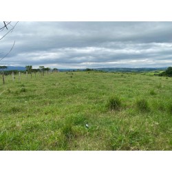 Sitio a venda sp Regiao Ribeirao Preto Cassia dos Coqueiros 3ha