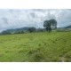 Sitio a venda sp Ribeirao Preto Cassia dos Coqueiros 11 ALQ