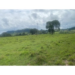 Sitio a venda sp Ribeirao Preto Cassia dos Coqueiros 3 ha 200 mil