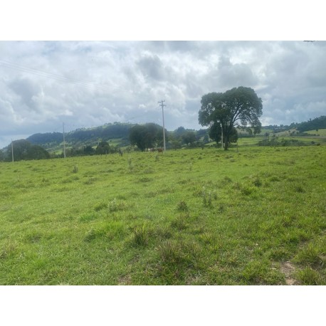 Sitio a venda sp Ribeirao Preto Cassia dos Coqueiros 3 ha 210 mil