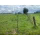 Sitio a venda sp Ribeirao Preto Cassia dos Coqueiros 11 ALQ